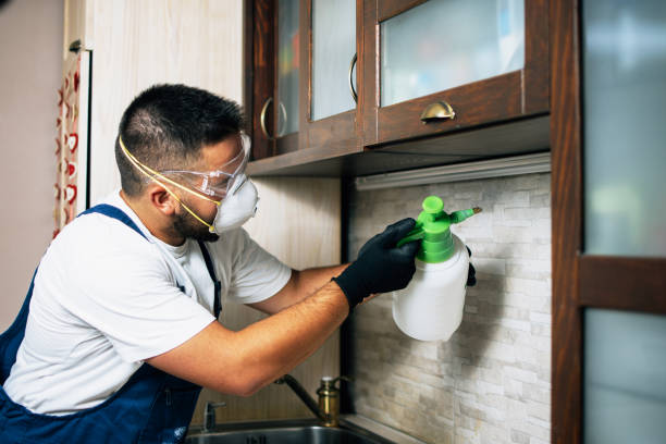 Best Insect Control  in Roland, AR