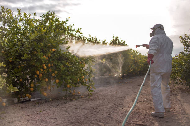 Best Affordable Pest Control Services  in Roland, AR