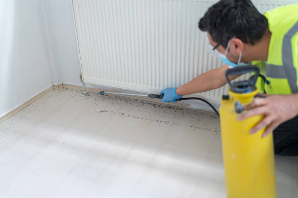 Best Mosquito Control Services  in Roland, AR