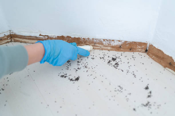 Best Pest Control Treatment  in Roland, AR