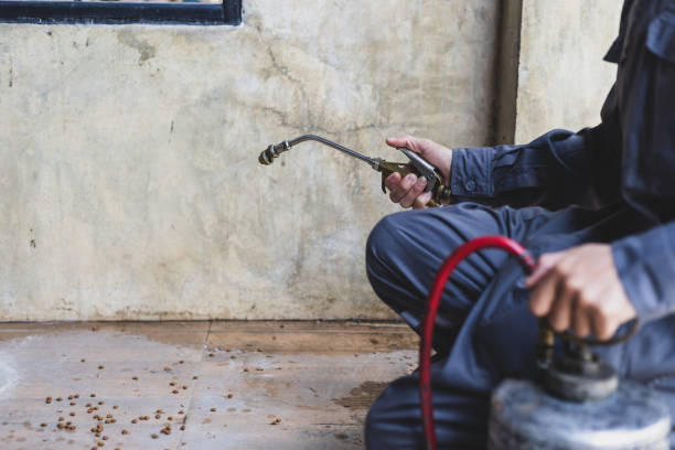 Best Exterminator Services  in Roland, AR